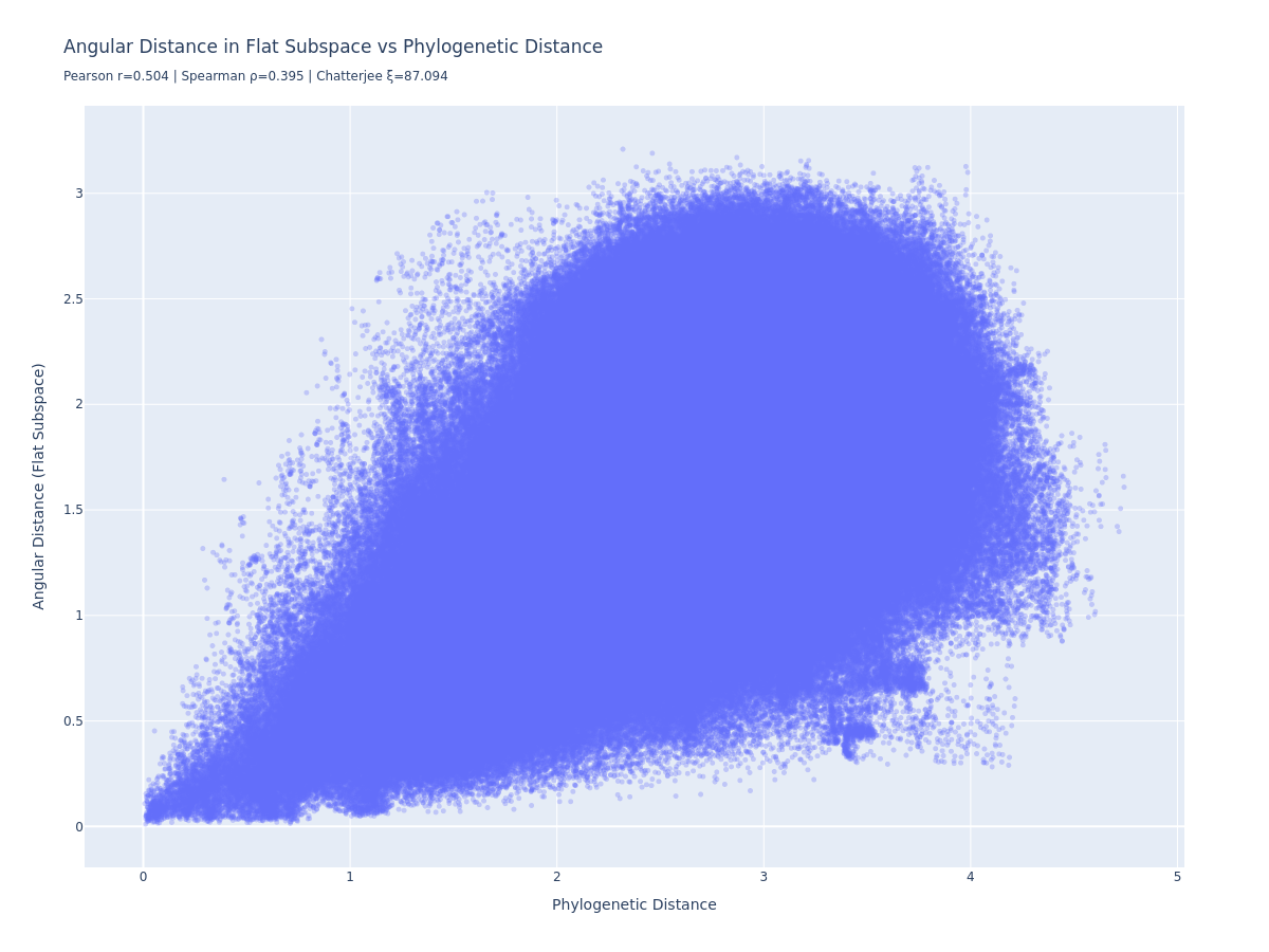 Angular distance in flat subspace vs phylogenetic distance