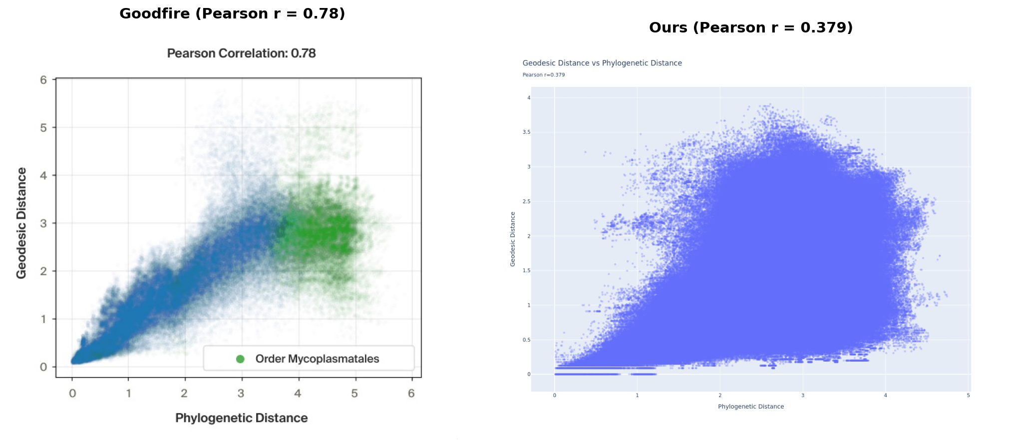 Geodesic distance vs phylogenetic distance — Goodfire (left, © Goodfire AI) vs ours (right)